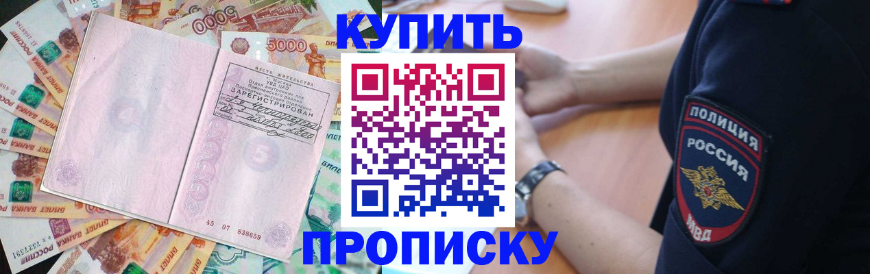 временная регистрация поиск в Камышине